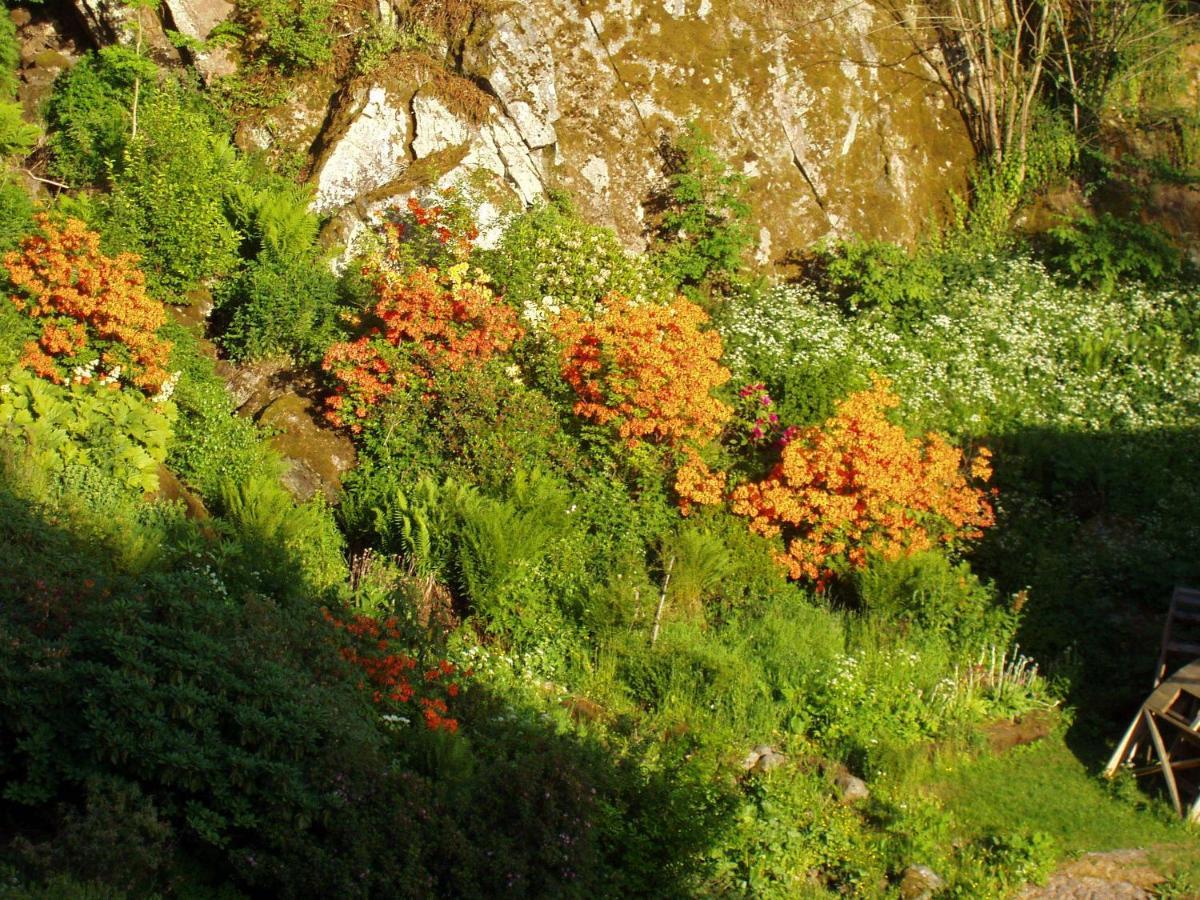 Brunstorpsgard Braenneriet Vila Huskvarna Quarto foto