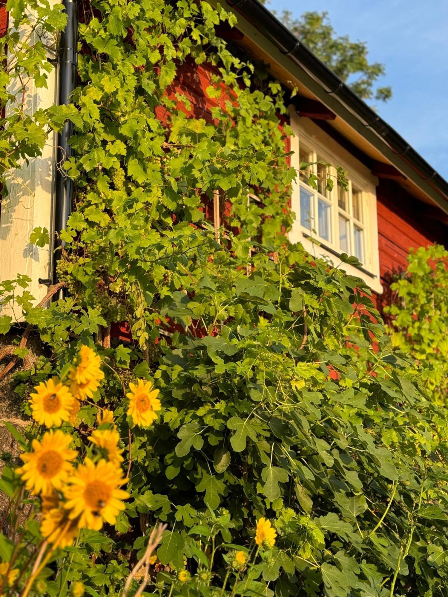 Brunstorpsgard Braenneriet Vila Huskvarna Exterior foto